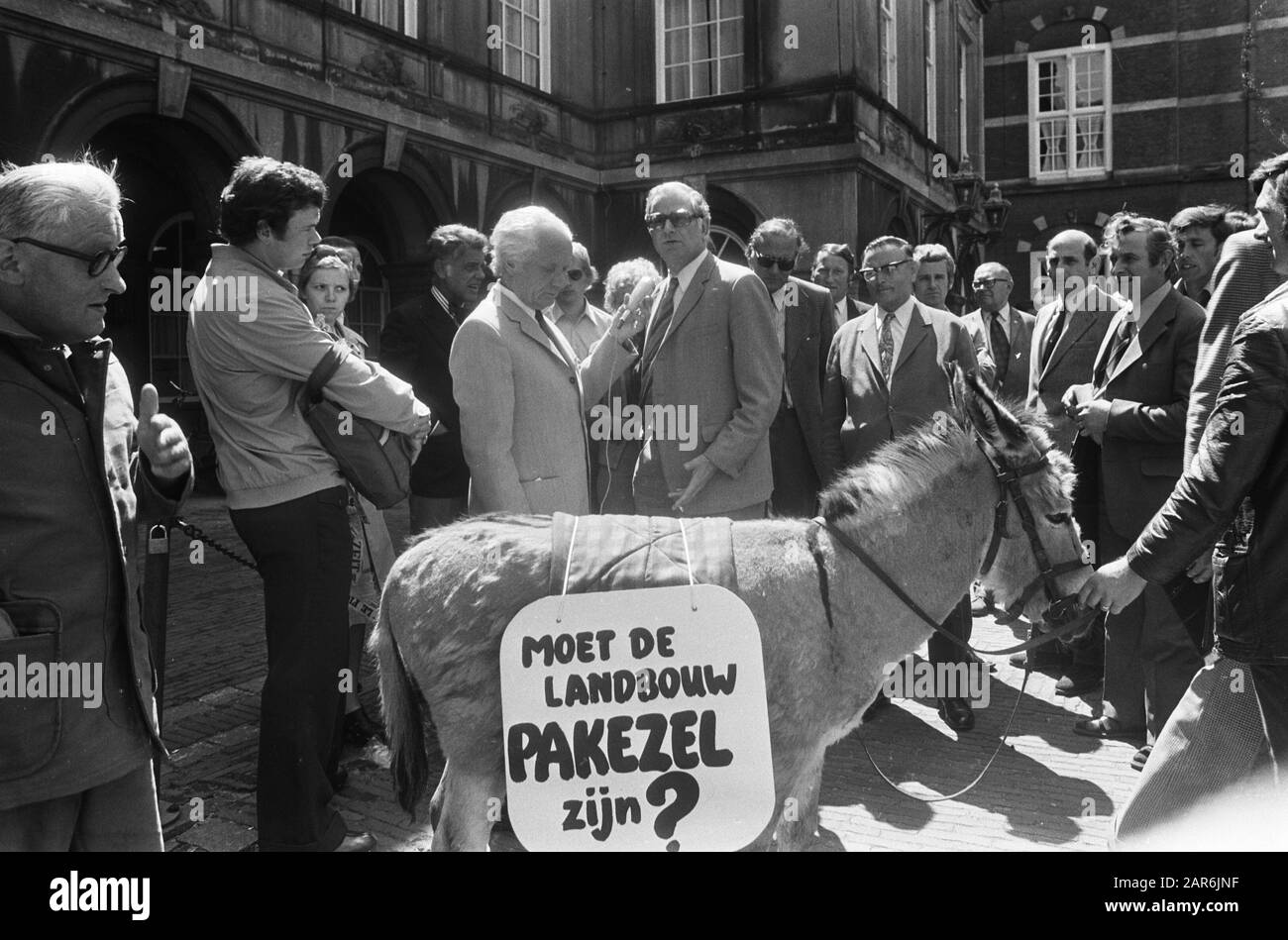Demonstration von Bauern und Gärtnern in Den Haag für bessere soziale Maßnahmen Minister Van der Ste zwischen den Demonstranten Datum: 16. Juni 1975 Ort: Den Haag, Zuid-Holland Schlüsselwörter: Demonstrationen, Bauern, Esel, Minister, Banner, Gärtner Personenname: SLEE, Fons van der Stockfoto