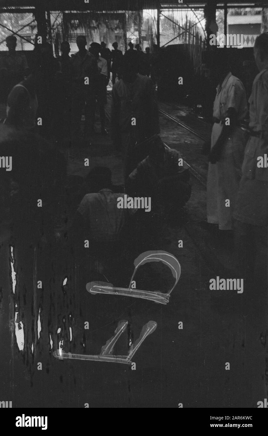 Rubberonderneming Tjiseroe Tjipari bei Tjilatjtap [Aufnahme oder Registrierung fehlgeschlagen] Datum: 10. März 1948 Ort: Cilacap, Indonesien, Niederländische Ostindien Stockfoto