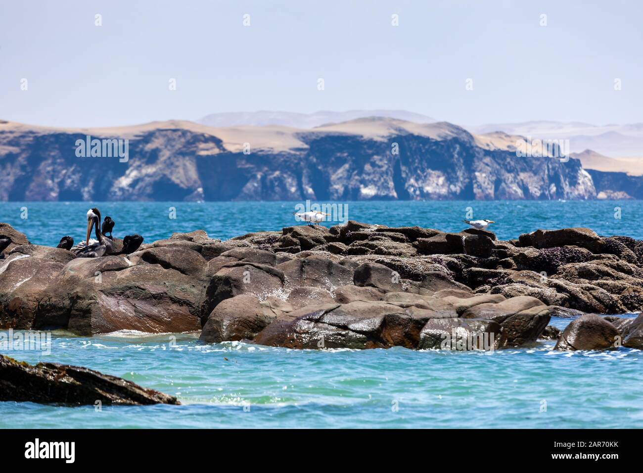 Möwen und Pelikane auf einem Felsen im Ozean mit Blick auf die Berge, Paracas National Reserve Stockfoto