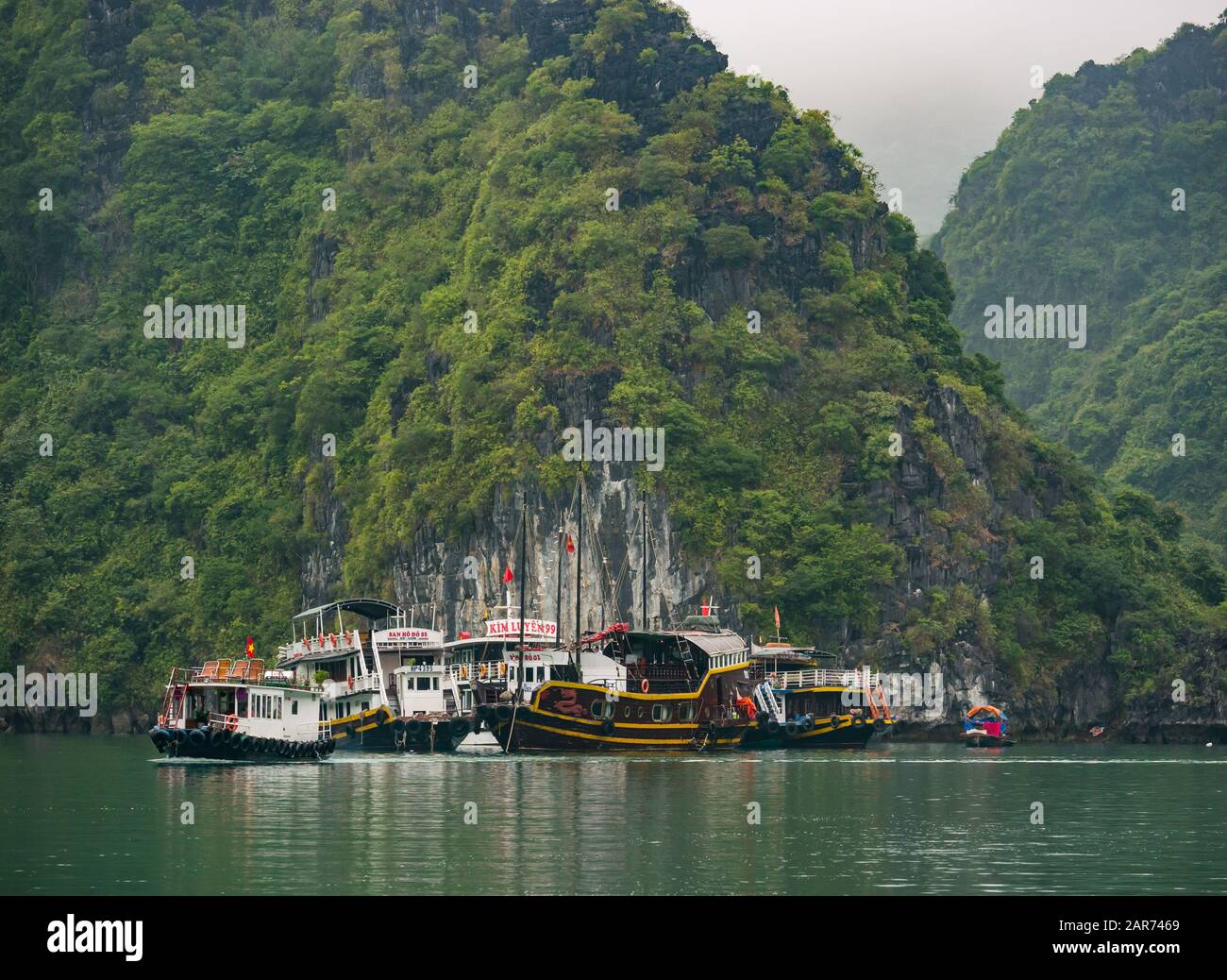 Touristenboote ankerten in Der Lan ha Bay mit Kalkfelsen, Vietnam, Asien Stockfoto