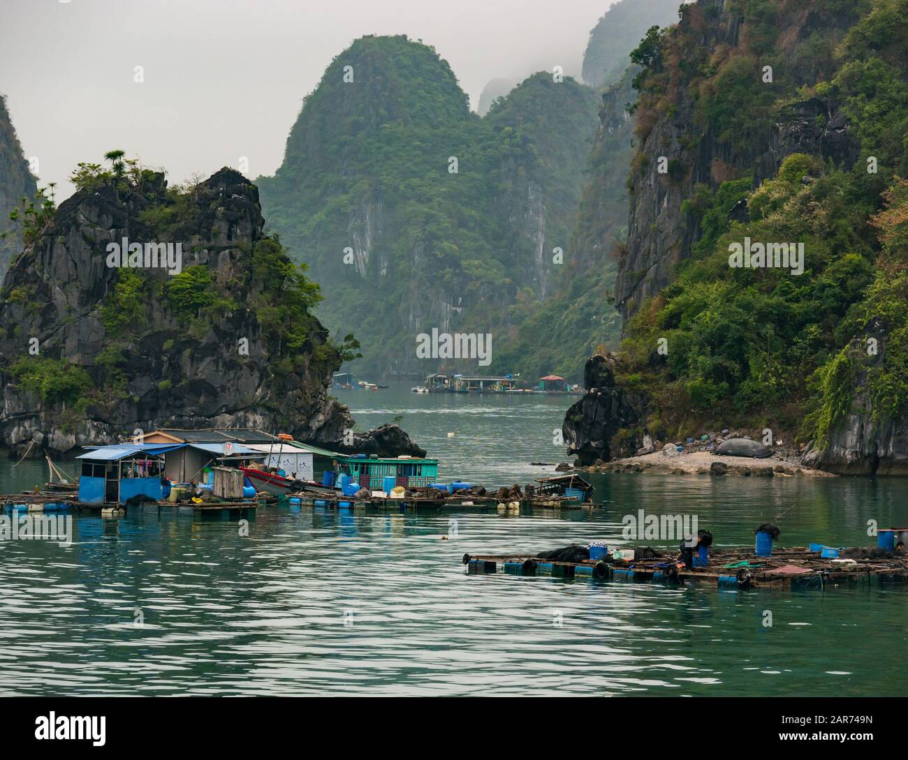 Fischfarm bei nebelartigem Wetter mit Kalksteinkarstfelsen, Lan ha Bay, Vietnam, Asien Stockfoto