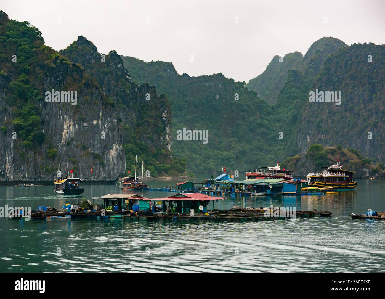 Fischfarm mit Kalkfelsklippen, Lan ha Bay, Vietnam, Asien Stockfoto