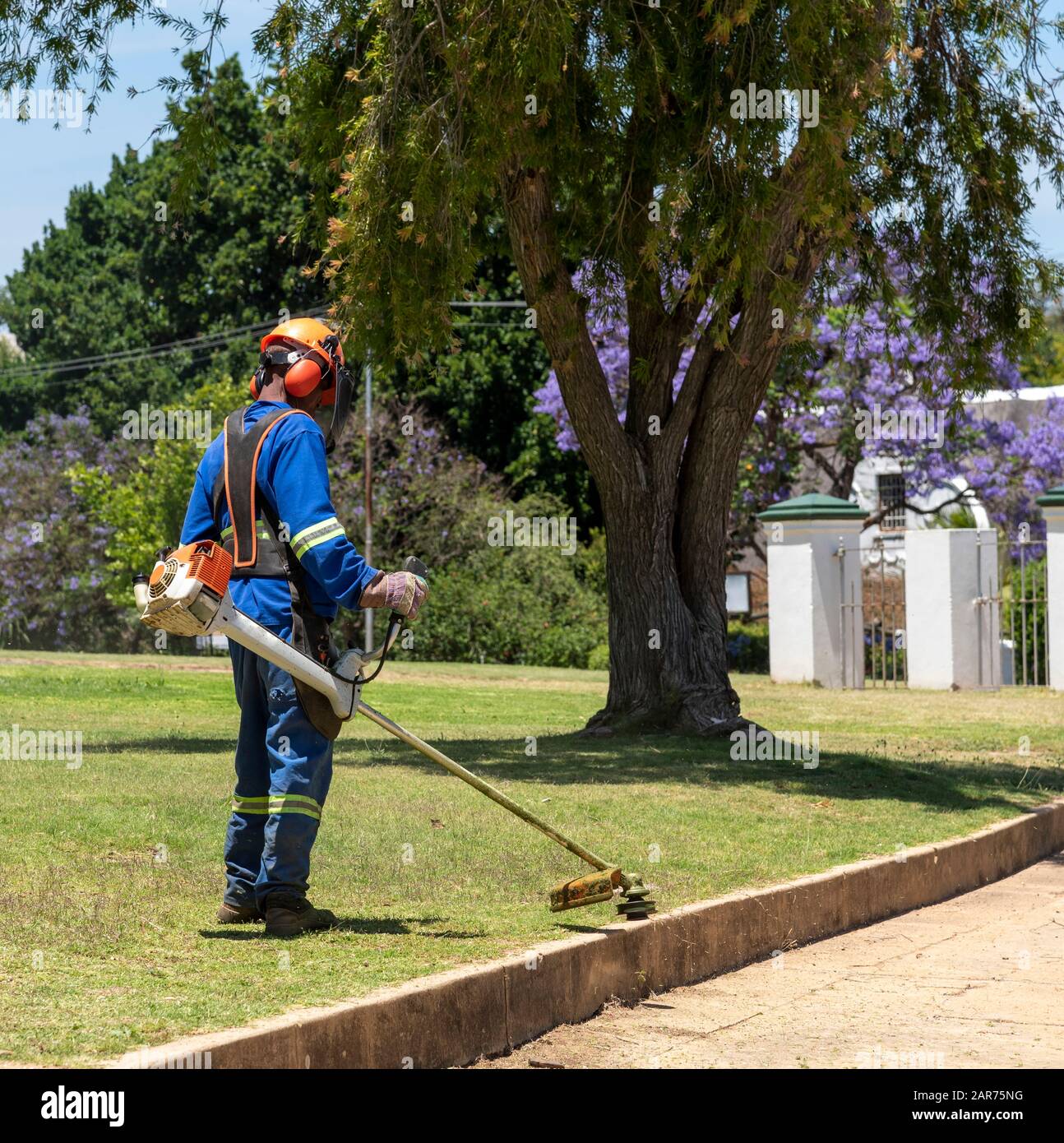 Mann, der Schutzkleidung und Schutzhelm trägt, das Gras in einem Garten abstreifend. Westkaper, Südafrika Stockfoto