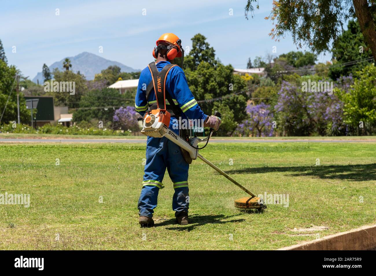 Mann, der Schutzkleidung und Schutzhelm trägt, das Gras in einem Garten abstreifend. Westkaper, Südafrika Stockfoto