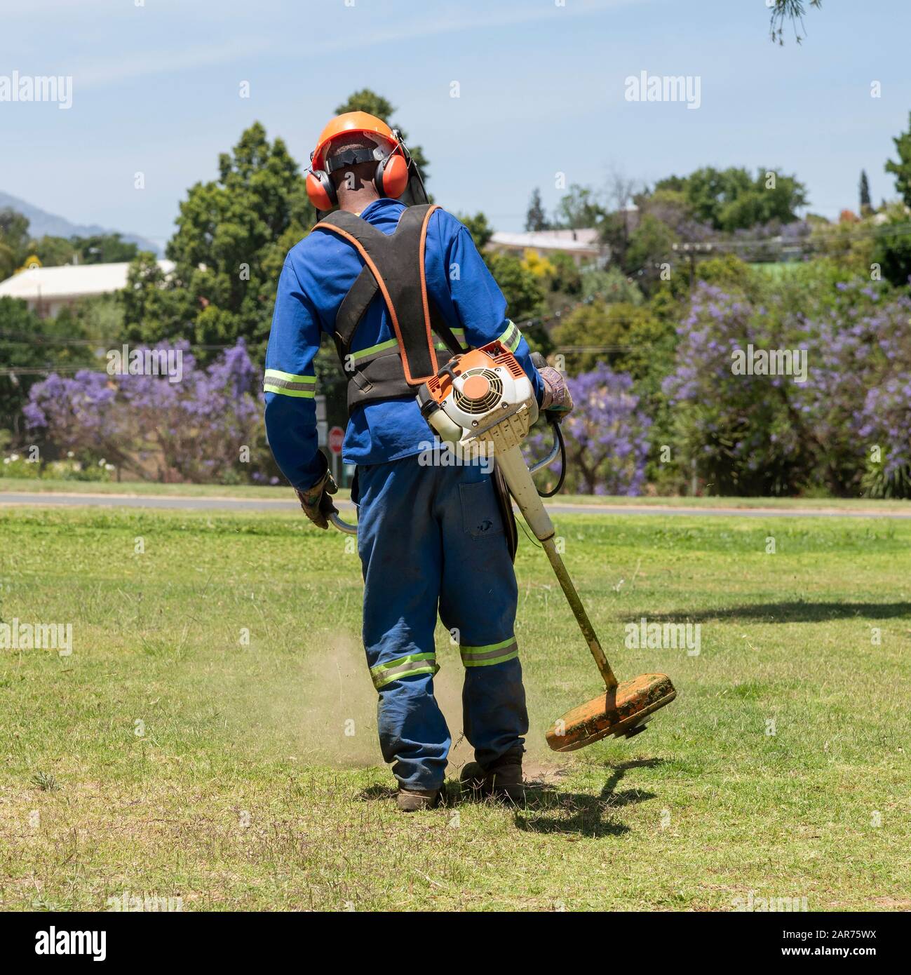 Mann, der Schutzkleidung und Schutzhelm trägt, das Gras in einem Garten abstreifend. Westkaper, Südafrika Stockfoto