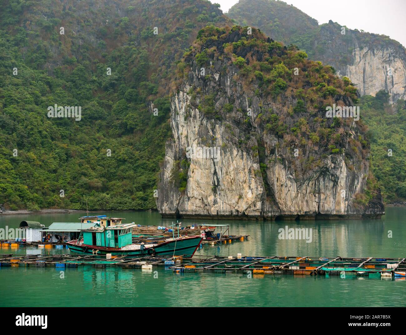 Fischfarm-Fischerboot mit Fisch- und Kalksteinklippen, Lan ha Bay, Vietnam, Asien Stockfoto