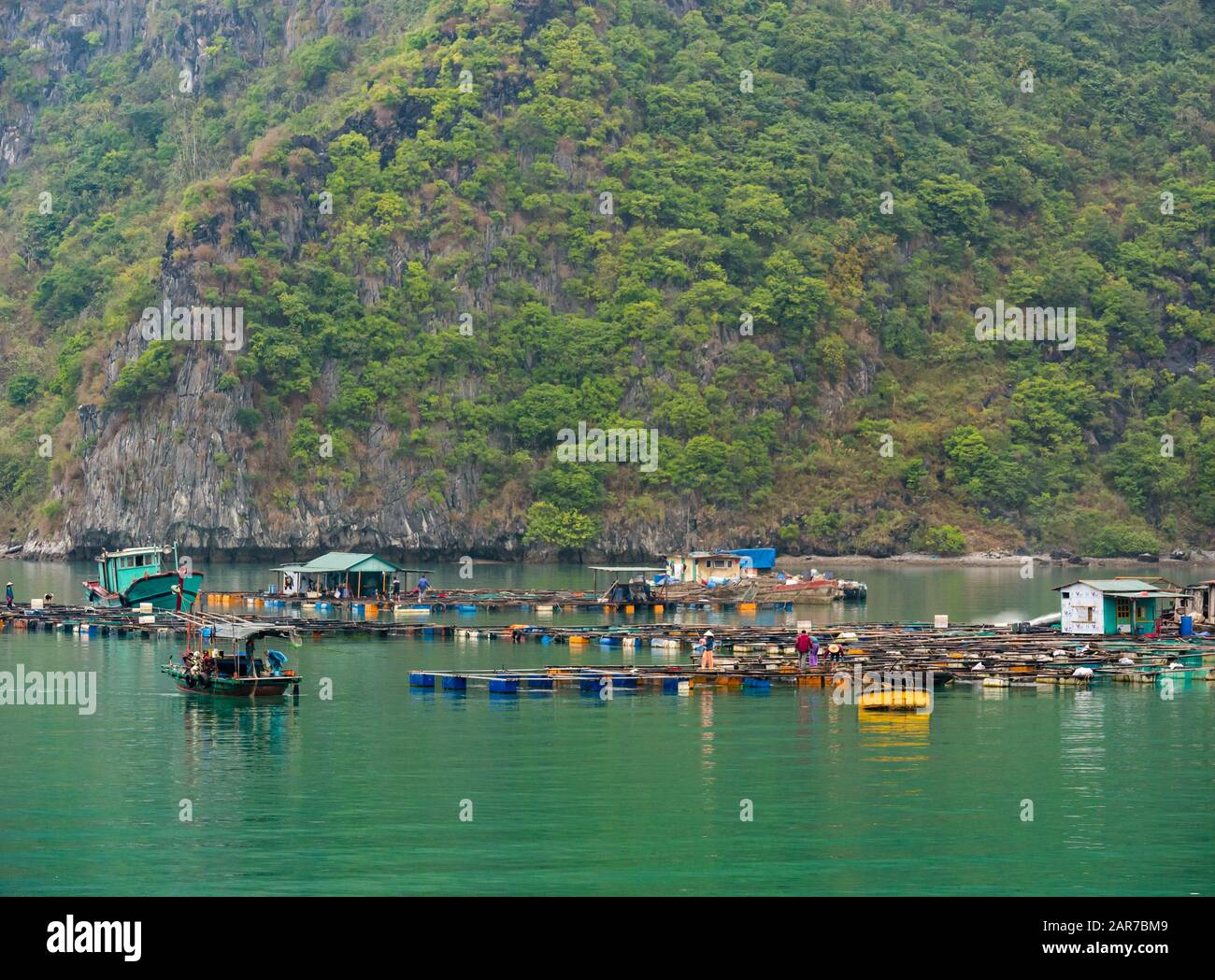 Fischfarm mit Kalksteinfelsen, Lan ha Bay, Vietnam, Asien Stockfoto