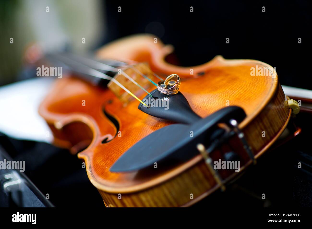 Auf der Geige liegen Hochzeitsringe mit kräftigem Bokeh Stockfoto