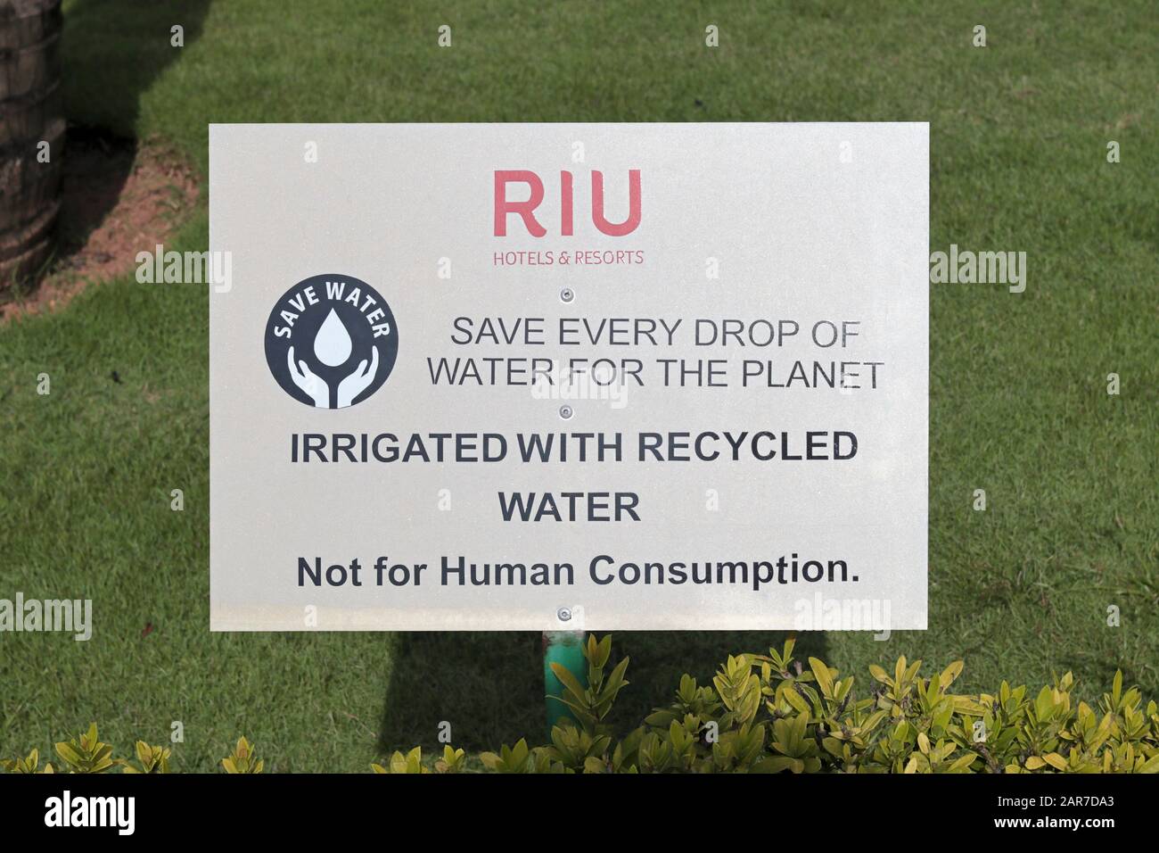 Ein Schild auf dem Gelände eines RIU Hotels, das sagt: "Wasser sparen". Sparen Sie Jeden Tropfen Wasser für den Planeten. Bewässert mit recyceltem Wasser. Nicht für menschliches Consum Stockfoto