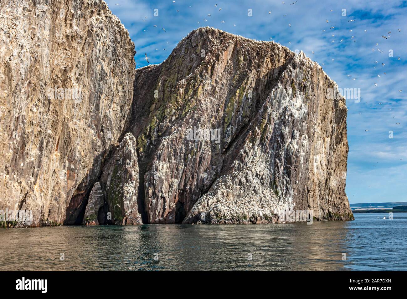 The Bass Rock im Firth of Forth in der Nähe von North Berwick East Lothian Scotland UK Stockfoto