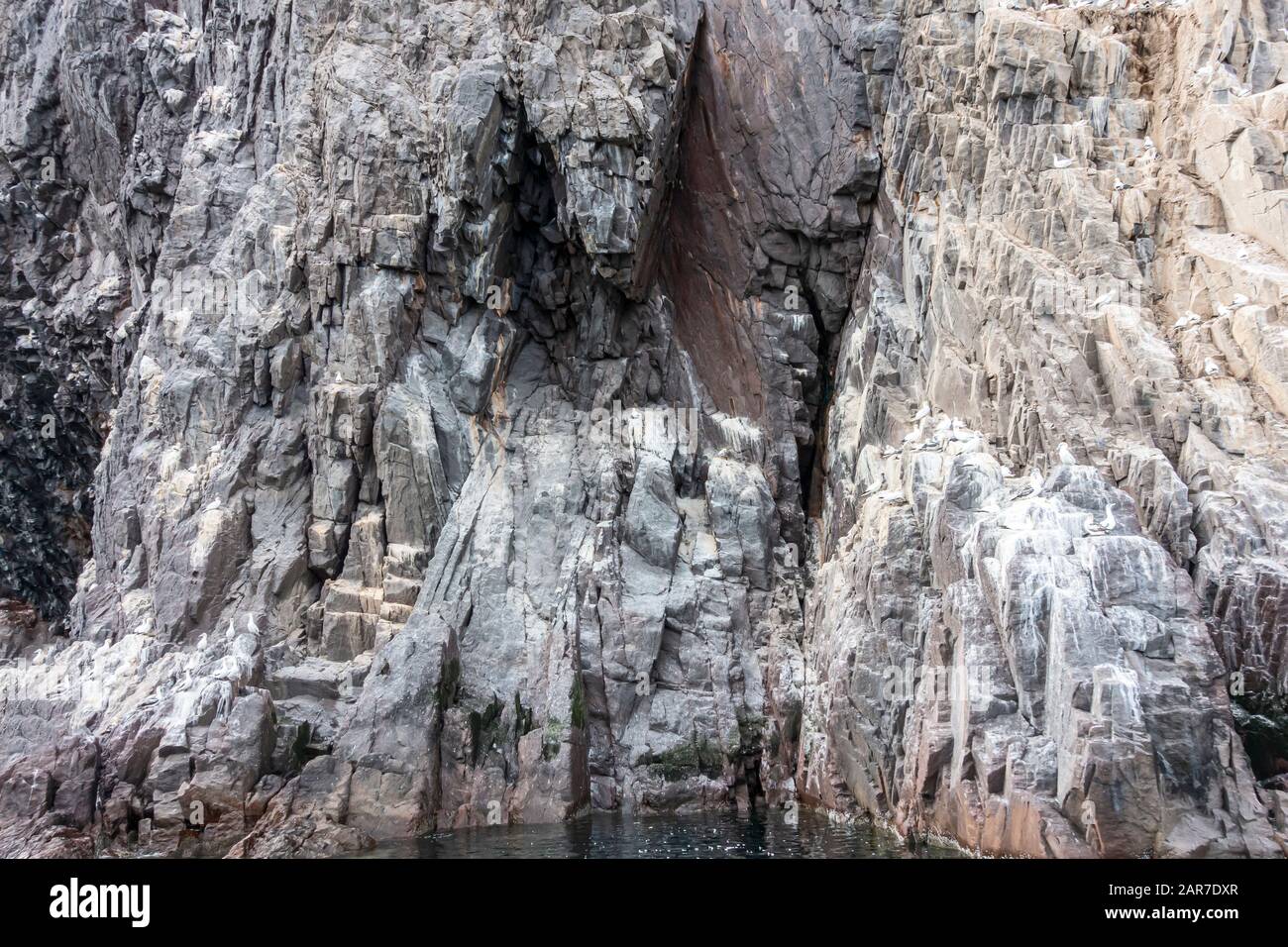 The Bass Rock im Firth of Forth in der Nähe von North Berwick East Lothian Scotland UK Stockfoto