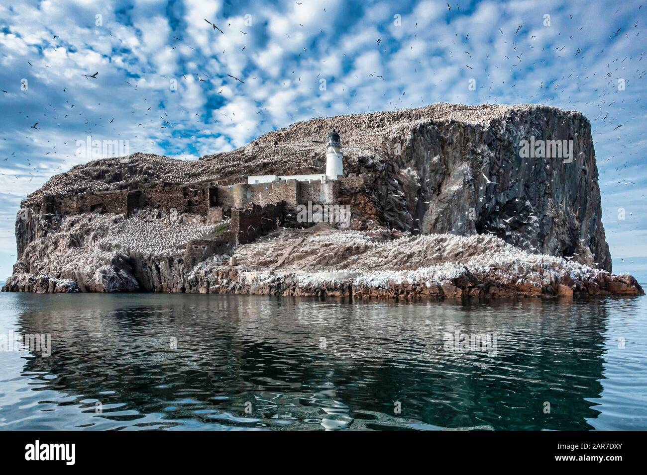 The Bass Rock im Firth of Forth in der Nähe von North Berwick East Lothian Scotland UK Stockfoto