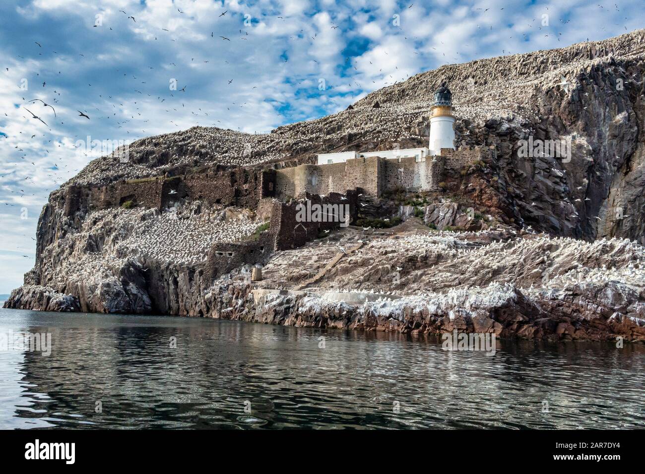 The Bass Rock im Firth of Forth in der Nähe von North Berwick East Lothian Scotland UK Stockfoto