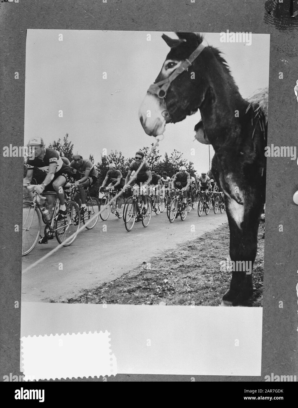 Tour durch Italien. Check-through unter Esel Datum: 31. Mai 1957 Schlagwörter: Radfahrer Stockfoto