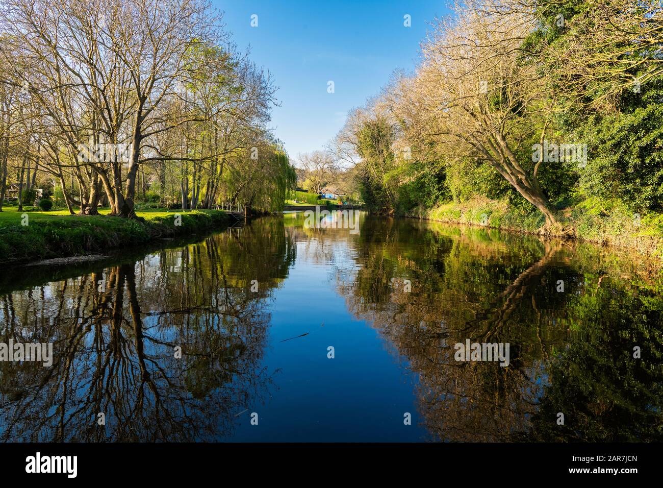 Der Fluss Nene in Wansford, Cambridgeshire, England, Großbritannien, an einem ruhigen, sonnigen Tag im April mit sehr klaren Reflexen im Wasser Stockfoto