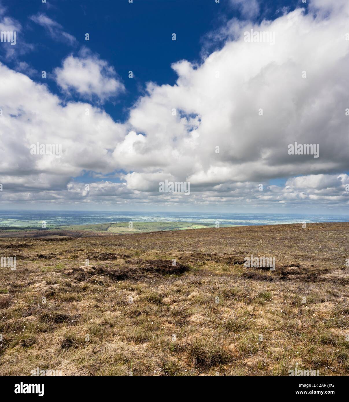 Blick von Wolftrap Berg, Slieve Bloom Mountains, County Offaly, Irland, mit reichlich blühenden bog Baumwolle (Eriophorum angustifolium) im Mai Stockfoto