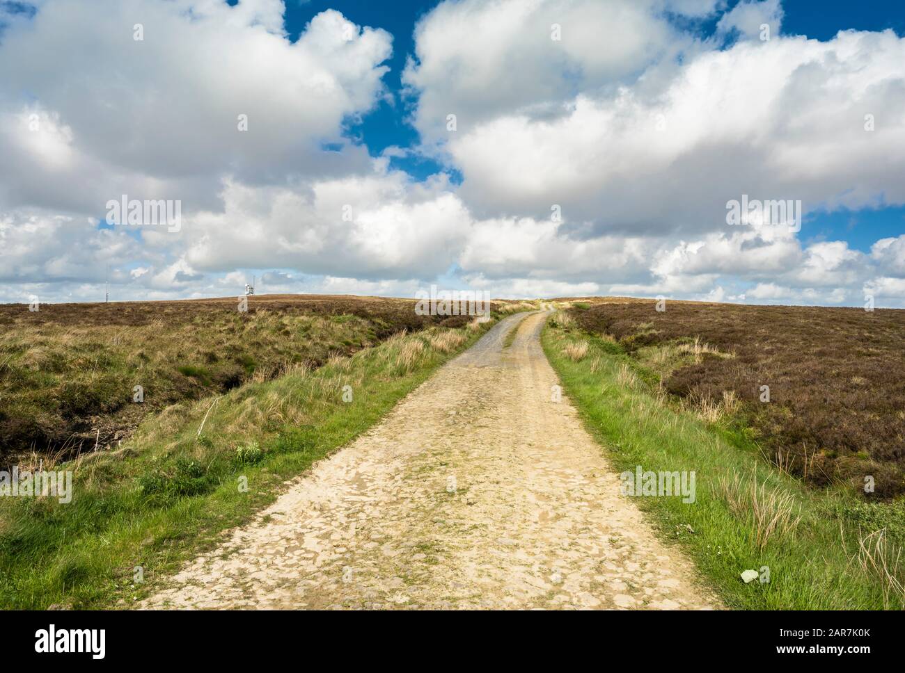 Strecke über Bog und Heide auf dem Wolftrap Mountain, Slieve Bloom Mountains, County Offaly, Irland Stockfoto