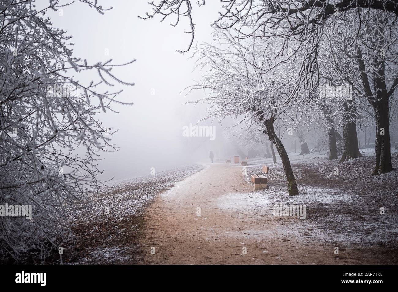 Budapest, Ungarn - Schöne neblige Winterszene in Normafa mit Bank, verschneiten Bäumen, Fußweg und Wanderern im Hintergrund auf der Spitze von Svabhegy Stockfoto