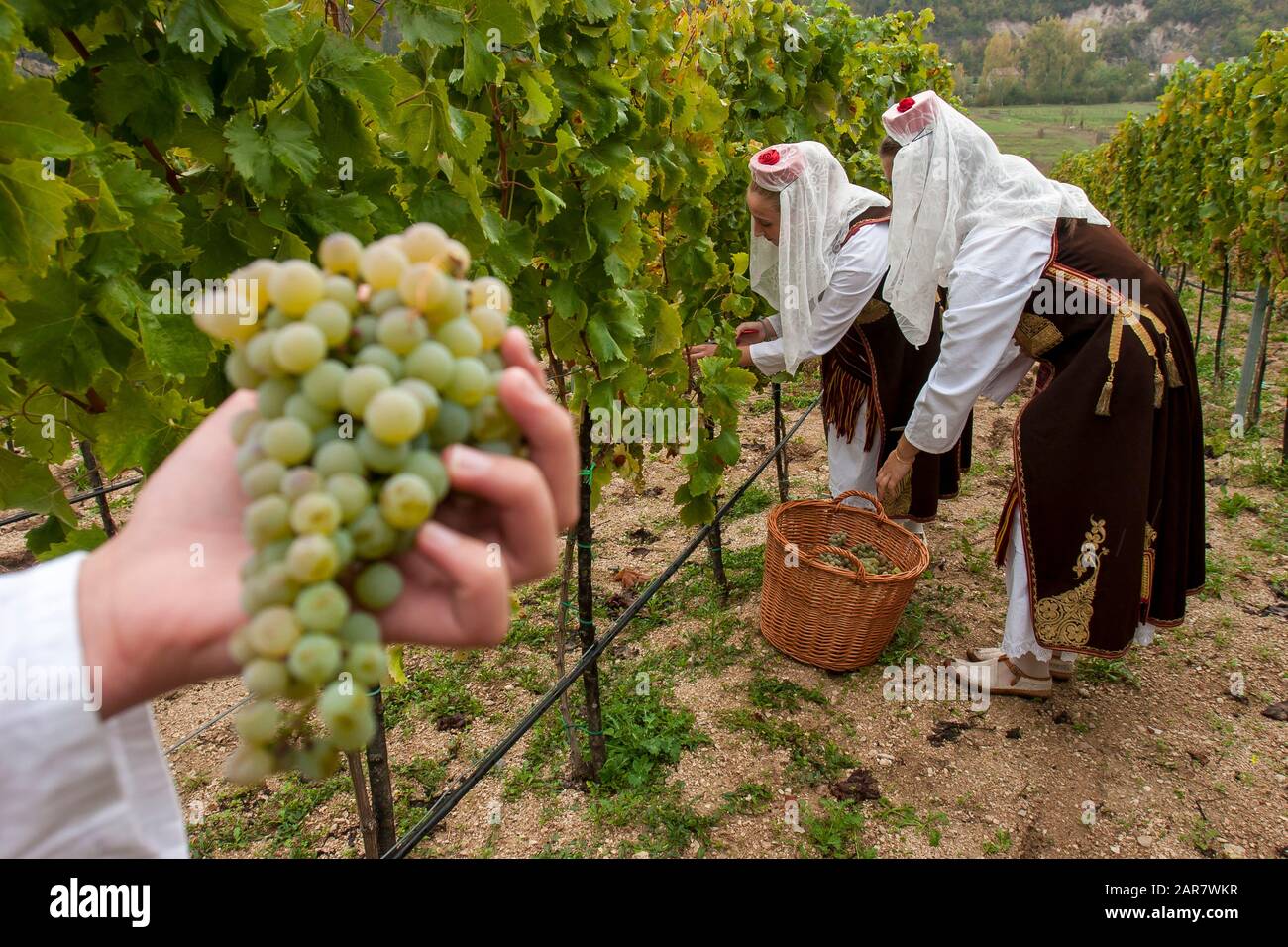 Tracht der östlichen herzegowina -Fotos und -Bildmaterial in hoher