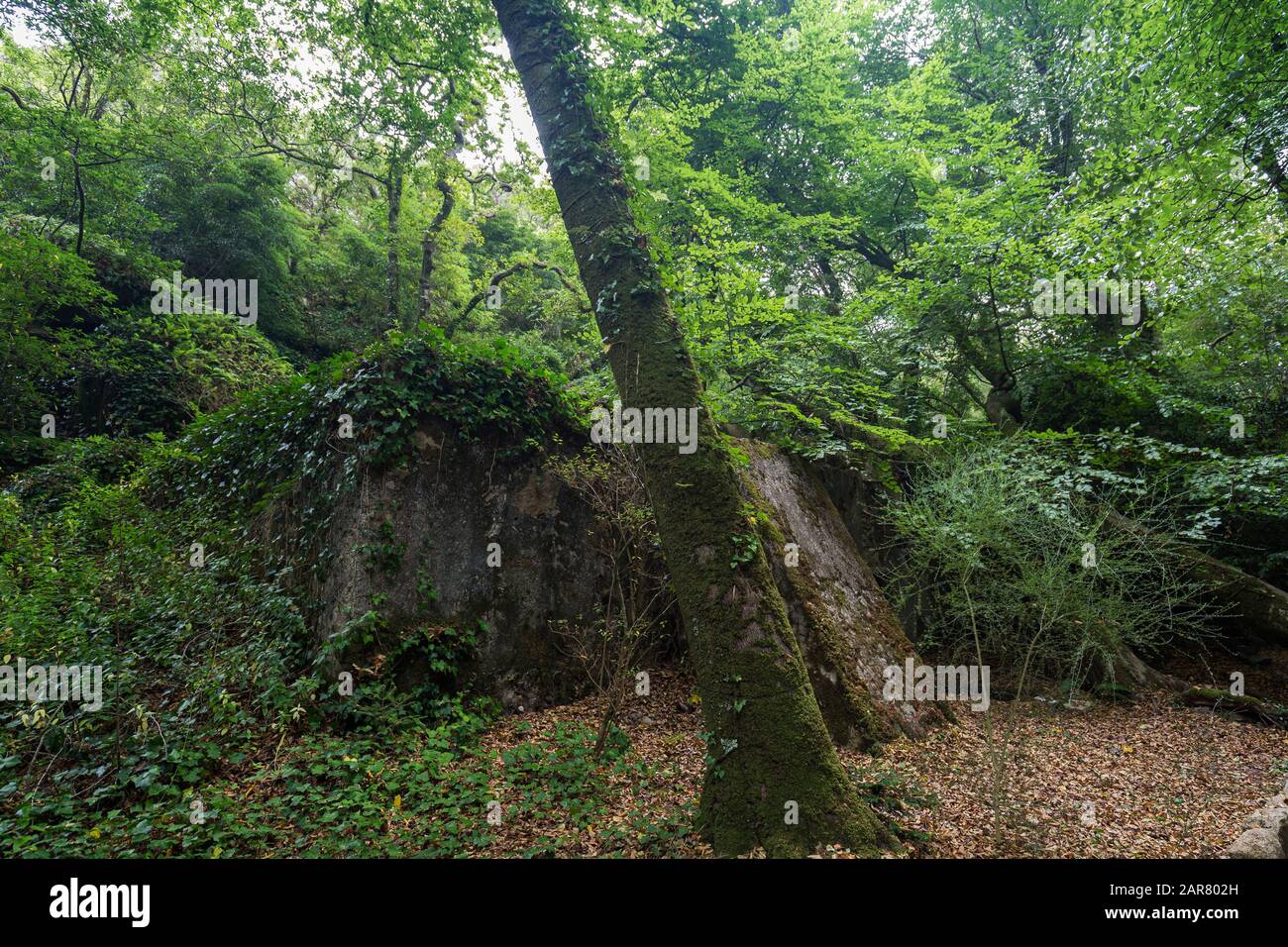 Tank der Seven Pines, ein alter Wasserreservoir im üppigen und grünen Pena Park, der den Pena Palace in Sintra, Portugal, umgeben. Stockfoto