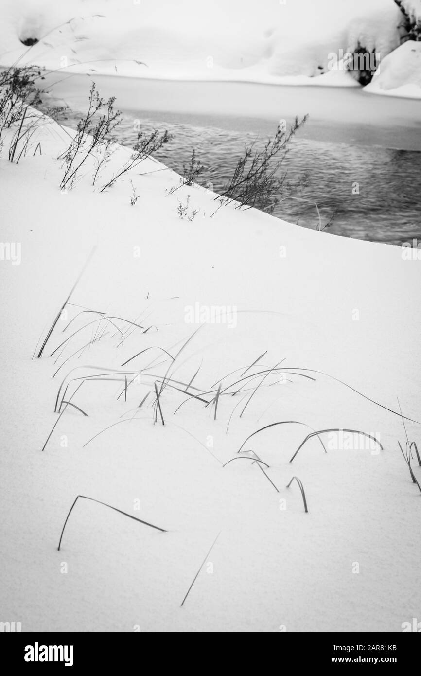 Vertikaler Schwarz-Weiß-Kunstdruck von Gras und Sträuchern im Schnee mit Fluss über dem Hintergrund gefroren Stockfoto