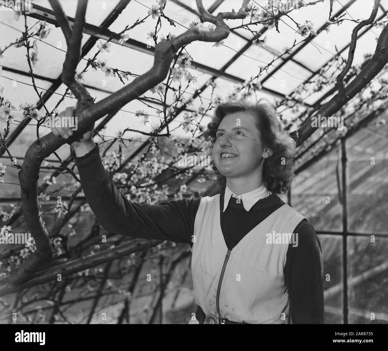 Gartenbauschule Huize te Lande te Rijswijk Datum: 1. april 1946 Standort: Rijswijk, Zuid-Holland Schlüsselwörter: Gewächshäuser, Mädchen, Bildung, Schüler und Gartenbau Stockfoto