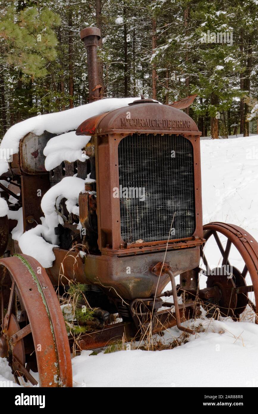 Ein alter Traktor vom Typ Mc Cormick-Deering von 1929 10-20 im Schnee, entlang des Überschwemmungsgebiets Rock Creek südöstlich von Clinton im Missoula County, Montana Stockfoto