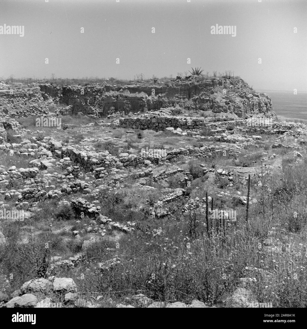 Israel 1948-1949:Meggiddo Ruinen der Ställe von Solomon bei Megiddo Datum: 1948 Ort: Israel, Megiddo Schlüsselwörter: Archäologie, Geschichte, Landschaften, Wände, Ruinen, Ställe persönlicher Name: Solomon (König) Stockfoto