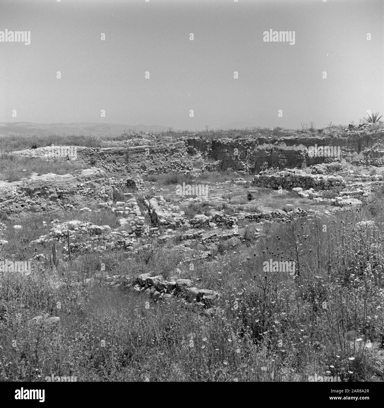 Israel 1948-1949:Meggiddo Ruinen der Ställe von Solomon bei Megiddo Datum: 1948 Ort: Israel, Megiddo Schlüsselwörter: Archäologie, Geschichte, Landschaften, Wände, Ruinen, Ställe persönlicher Name: Solomon (König) Stockfoto