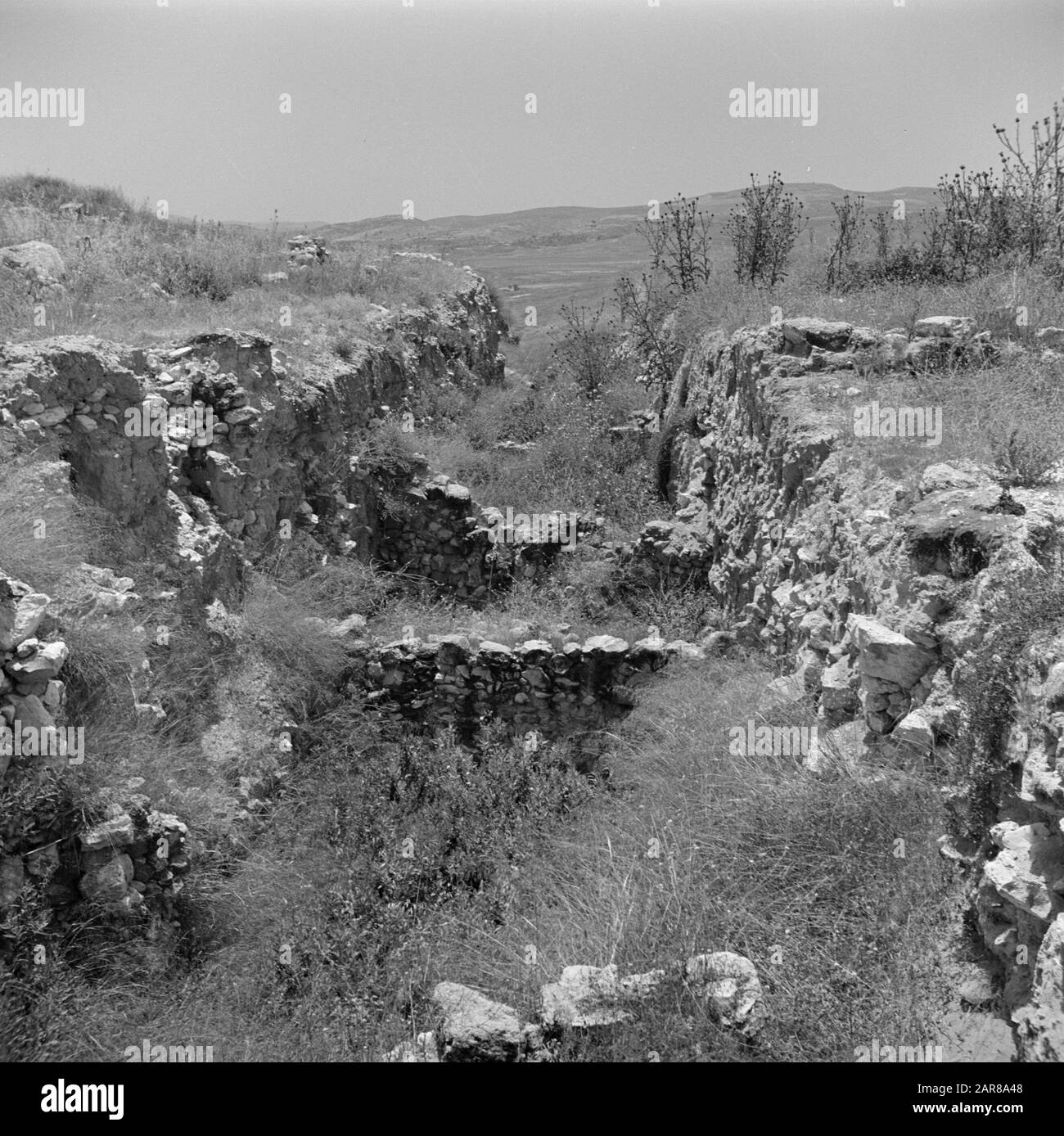 Israel 1948-1949:Meggiddo Ruinen der Ställe von Solomon bei Megiddo Datum: 1948 Ort: Israel, Megiddo Schlüsselwörter: Archäologie, Geschichte, Landschaften, Wände, Ruinen, Ställe persönlicher Name: Solomon (König) Stockfoto