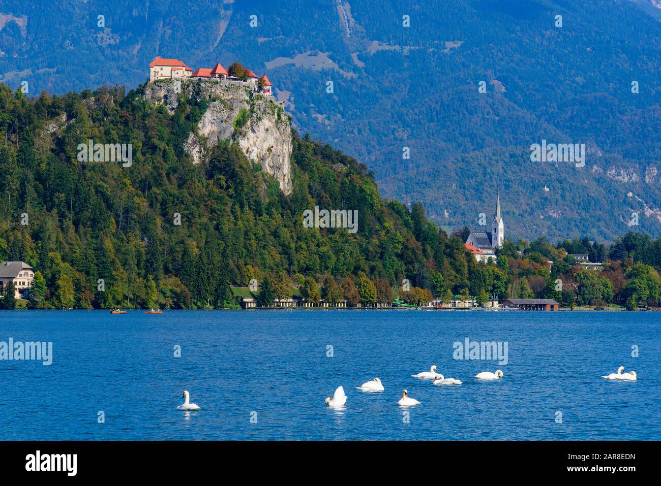 Bled Castle, eine mittelalterliche Burg am Bleder See in Slowenien Stockfoto