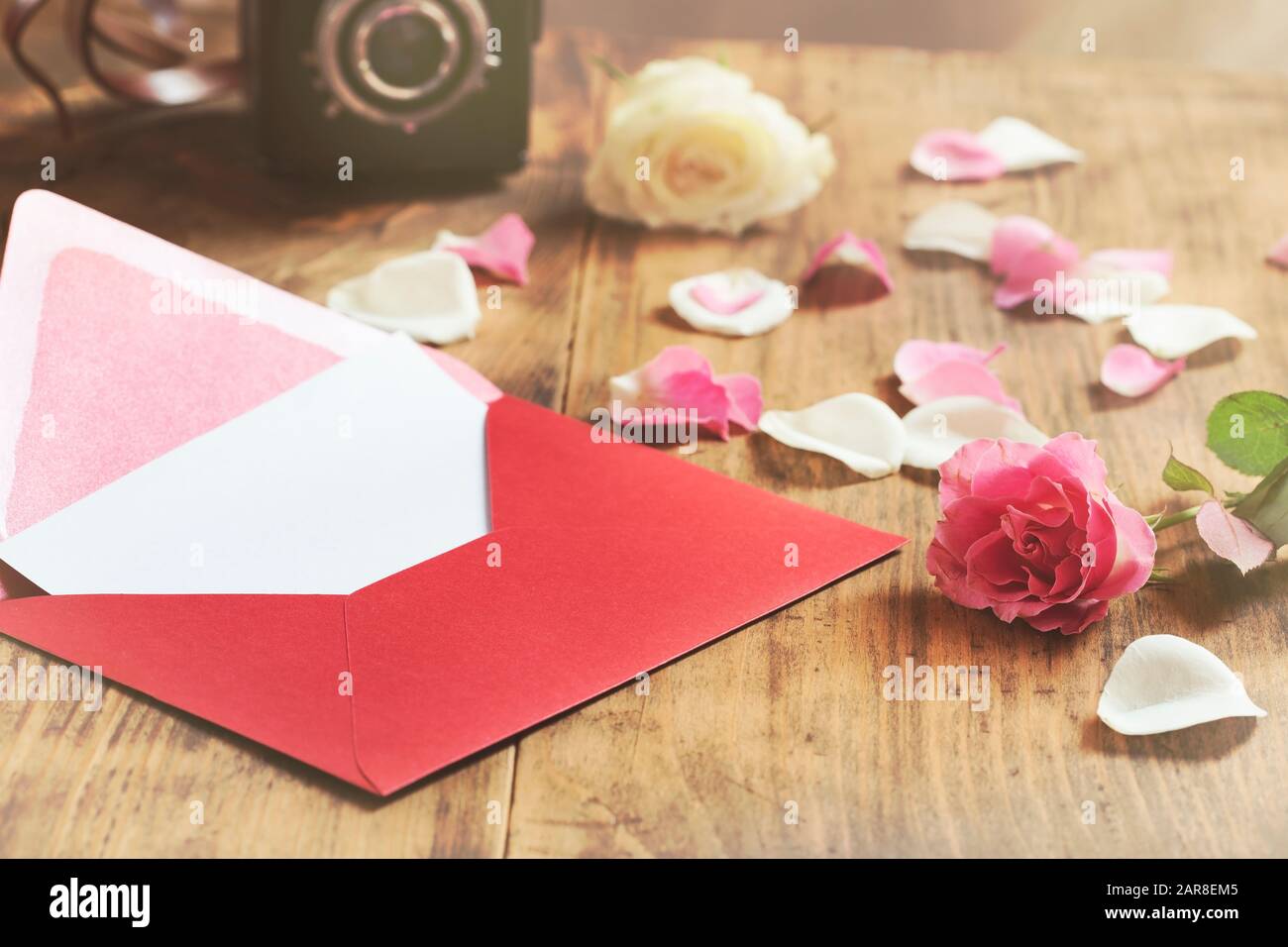 Liebesbrief mit den Rosen und einer Vintage-Kamera Stockfoto