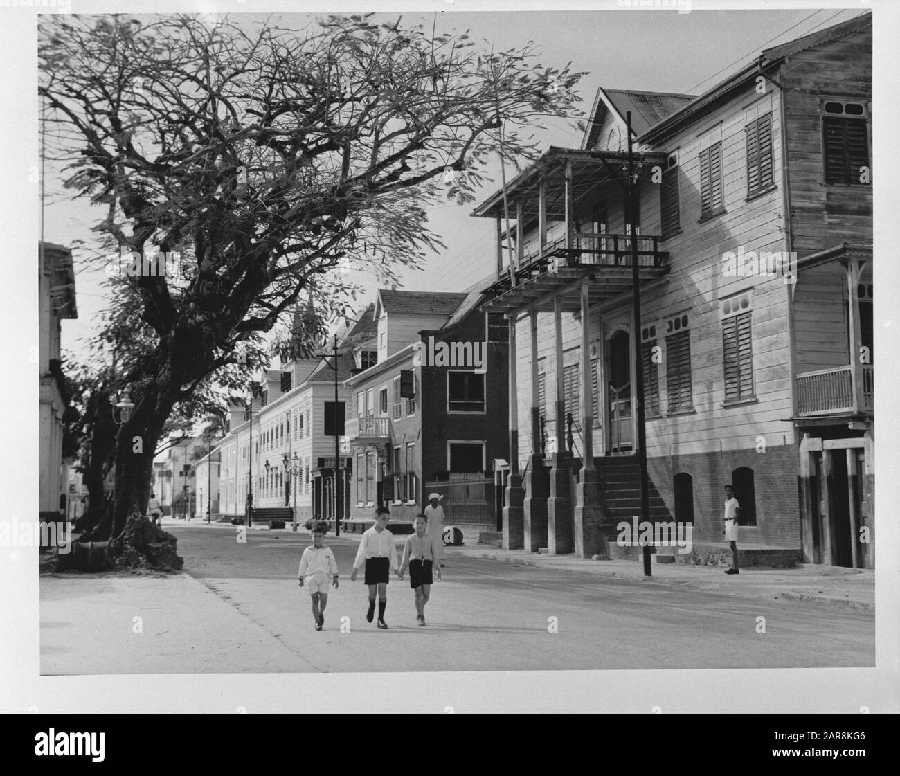 Wi [West Indies]/Anefo London Series Street in Paramaribo (Suriname) Anmerkung: Repronegativdatum: 1940-1945 Ort: Paramaribo, Suriname Schlüsselwörter: Hauptstädte, Straßen, Weltkrieg: Unbekannt/Public Domain Stockfoto