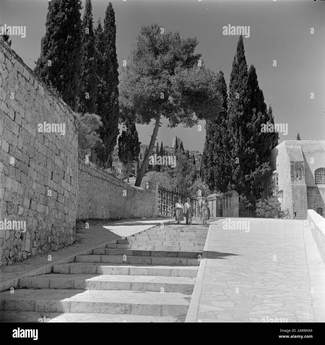 Israel 1948-1949: Ain Karem Straße in ein Karem mit Treppen und drei Wanderern Datum: 1948 Ort: Ain Karem, Israel, Jerusalem Schlüsselwörter: Bäume, Wände, Treppen, Fußgänger Stockfoto