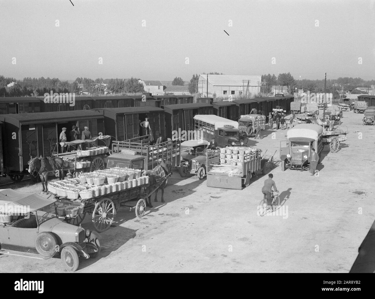 Reisen nach Frankreich Transport mit dem Zug der Tellertrauben in Le Thor, im Vordergrund ein Eselskarren Datum: September 1935 Standort: Frankreich, Le Thor Schlüsselwörter: Autos, Trauben, Esel, Karren, Züge, Transport Stockfoto