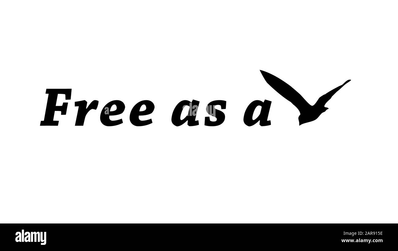 Text- und Vogelgrafik Silhouette Freiheit konzeptionelle Zeichnung in schwarzer Farbe vor weißem Hintergrund Stockfoto