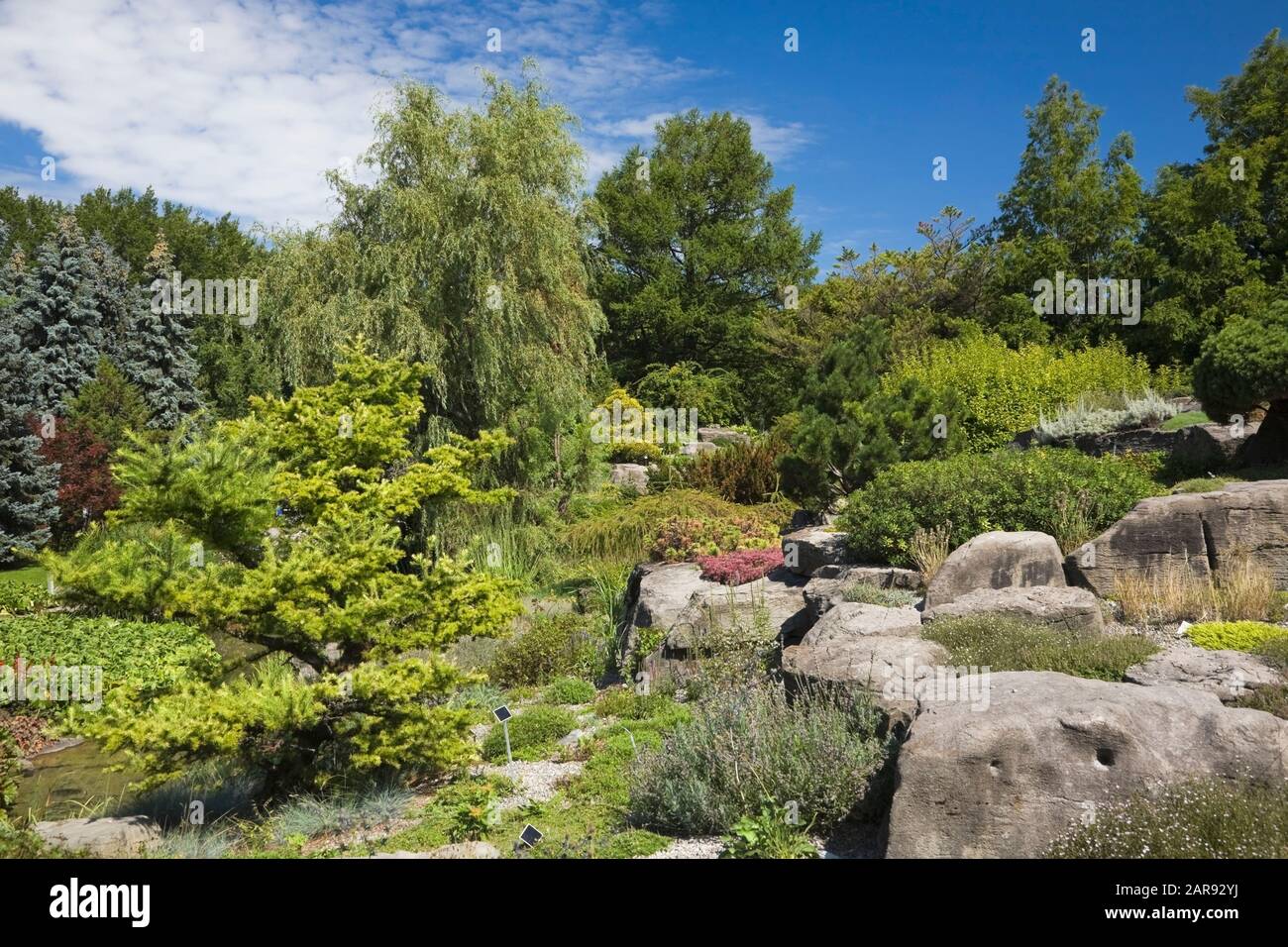 Alpengarten mit Nadelbäumen, Laubbäumen, mehrjährigen Pflanzen und Sträuchern im Sommer Stockfoto