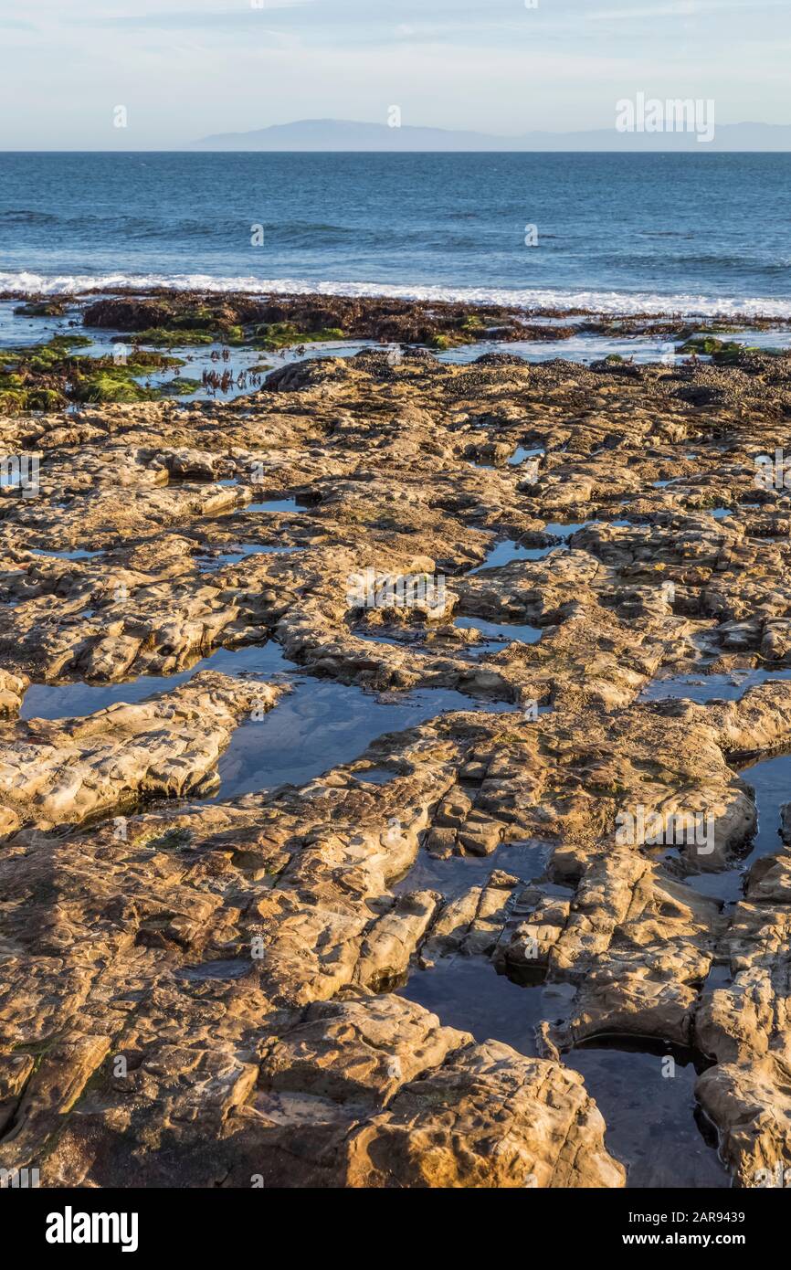 Am Natural Bridges State Beach, Santa Cruz, Kalifornien, USA Stockfoto