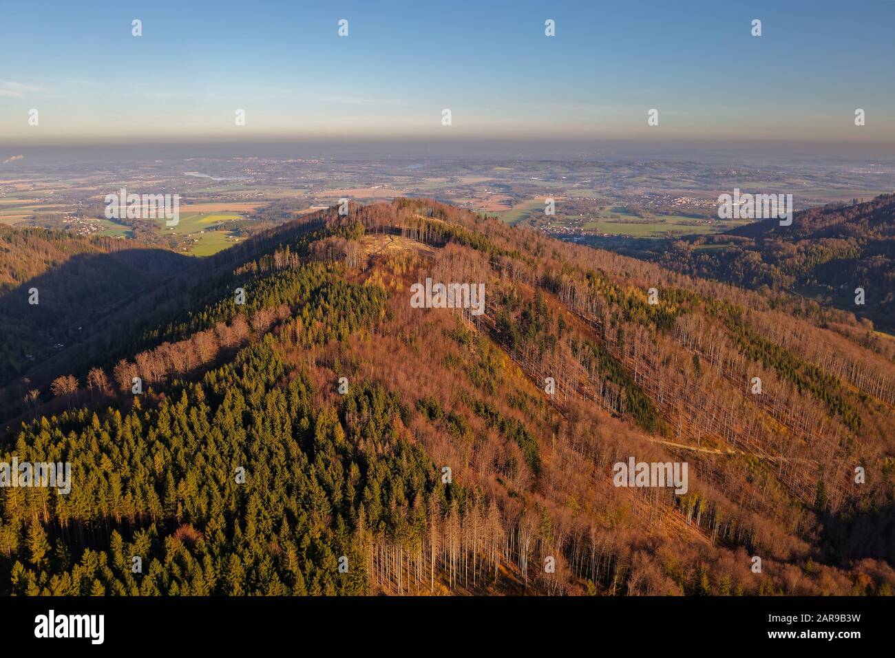 Landschaft der Beskydy-Berge Wälder, die durch den europäischen Fichten-Rindenkäfer (Ips Typograpus), die Weevil Subfamilie Scolytinae, zerstört werden, ihre Ausbrüche sind Stockfoto