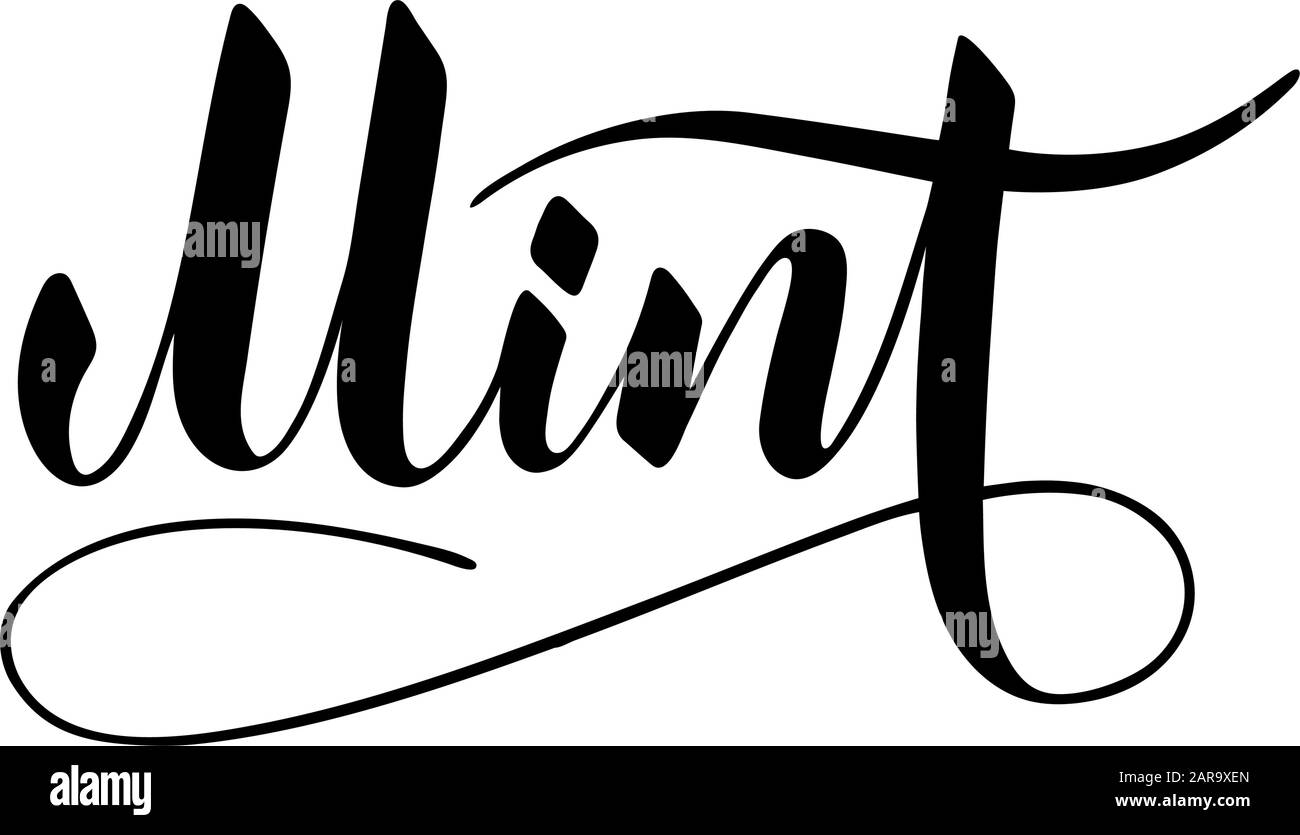 Vector handgeschriebener Minztext isoliert auf weißem Hintergrund. Küche gesunde Kräuter und Gewürze zum Kochen. Schrift mit Pinselschrift mit Aufblühen. H Stock Vektor