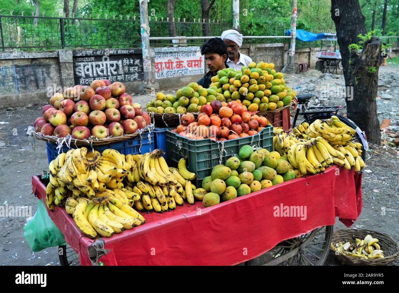 Obsthändler, Haldwani, Nainital, Kumaon, Uttarakhand, Indien, Asien Stockfoto