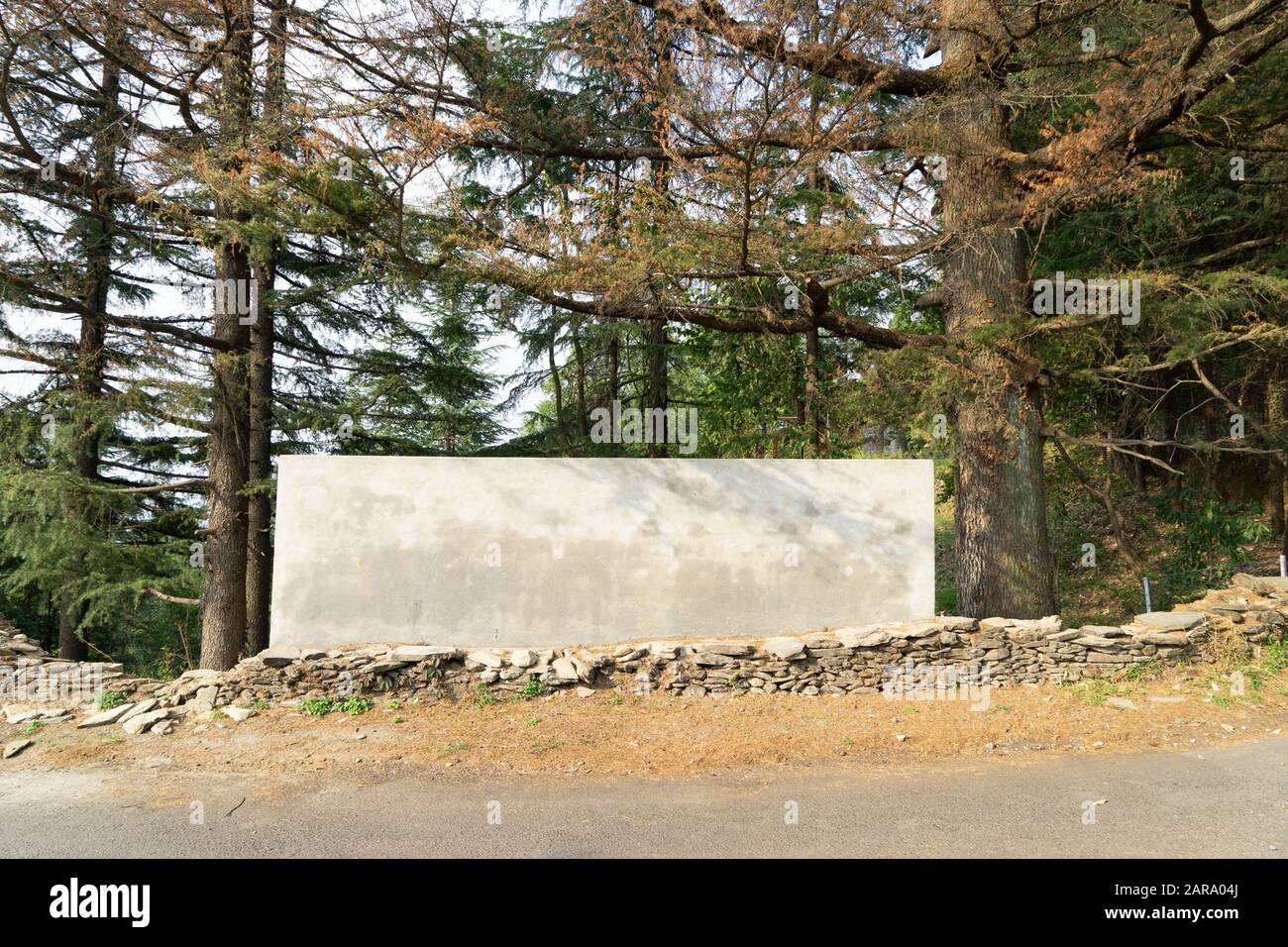 Zementwand, Sitla Estate, Nainital, Kumaon, Uttarakhand, Indien, Asien Stockfoto