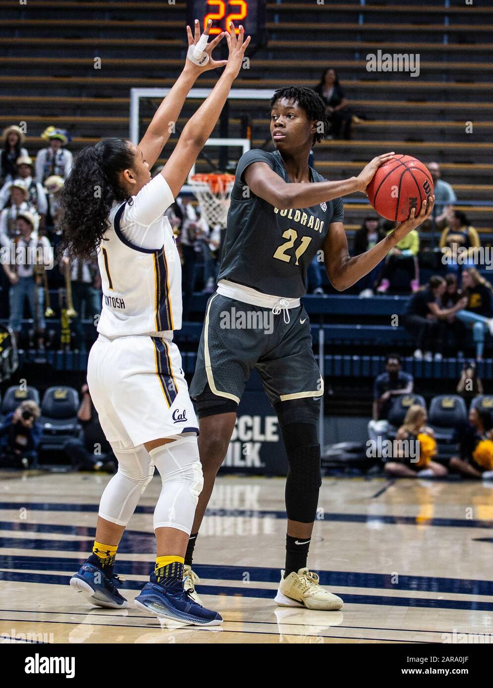 Berkeley, CA U.S. 26. Januar 2020. A. Colorado Buffaloes Guard Mya Hollingshed (21) schaut während des NCAA Women's Basketball Game zwischen Colorado Buffalo und dem California Golden Bears 62-50 Sieg im Hass Pavilion Berkeley Calif. Thurman James/CSM/Alamy Live News den Ball passieren Stockfoto