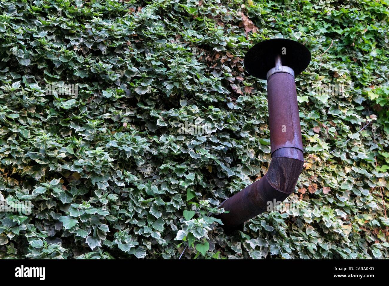 Chimney, Sitla Estate, Nainital, Kumaon, Uttarakhand, Indien, Asien Stockfoto