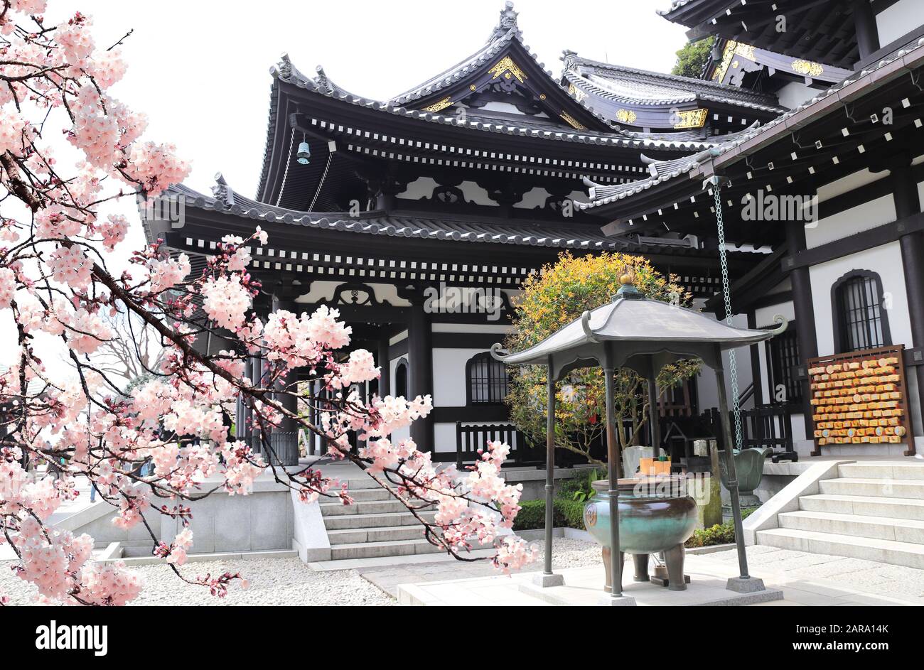 Alter Pavillon, Weihrauchtopf im Hasedera-Tempel (Hase-dera) und  Sakura-Blüte-Zweige. Sakura Blossom Saison in Kamakura, Präfektur Kanagawa,  Japan Stockfotografie - Alamy