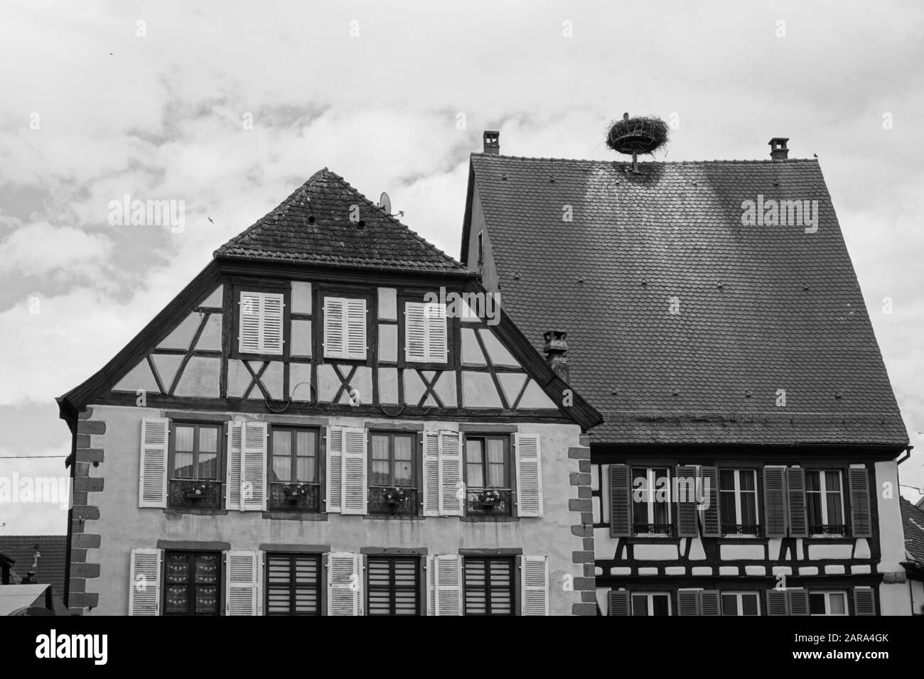Altes Haus, Flamingo-Vogelnest, Riquewihr, Elsaß, Frankreich, Europa Stockfoto