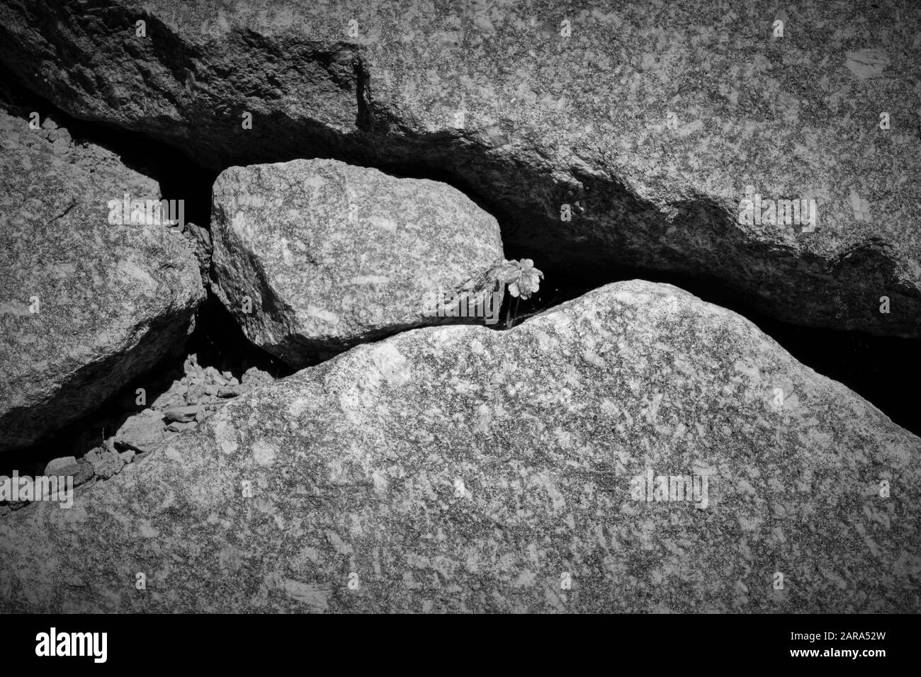 Abstrakte Steine, Kaysersberg, Elsaß, Frankreich, Europa Stockfoto