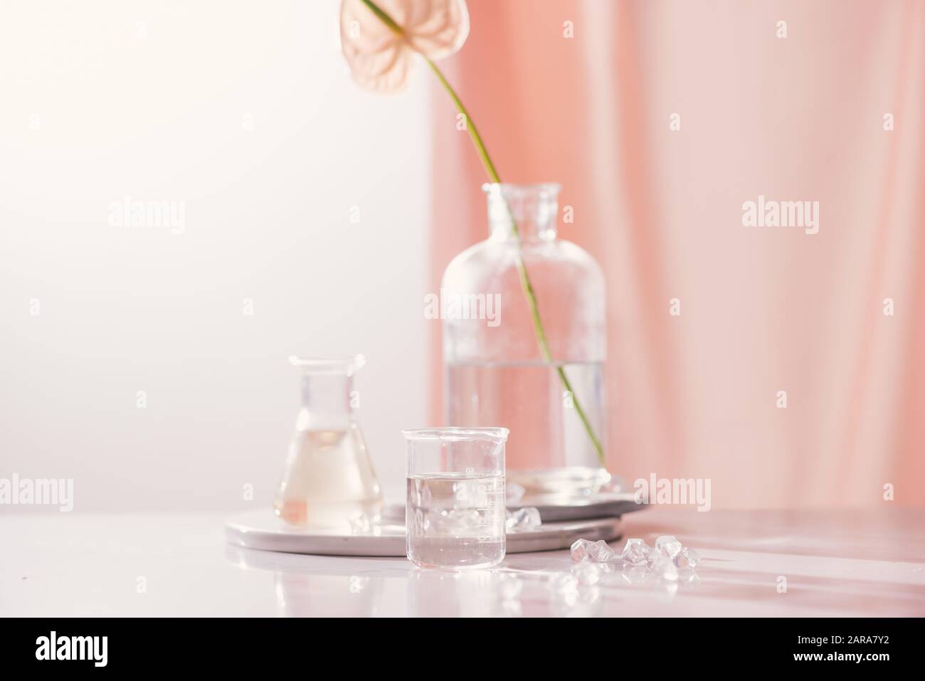 Natürlichen organischen Extraktion, Blüte Duft Essenz Lösung im Labor Stockfoto