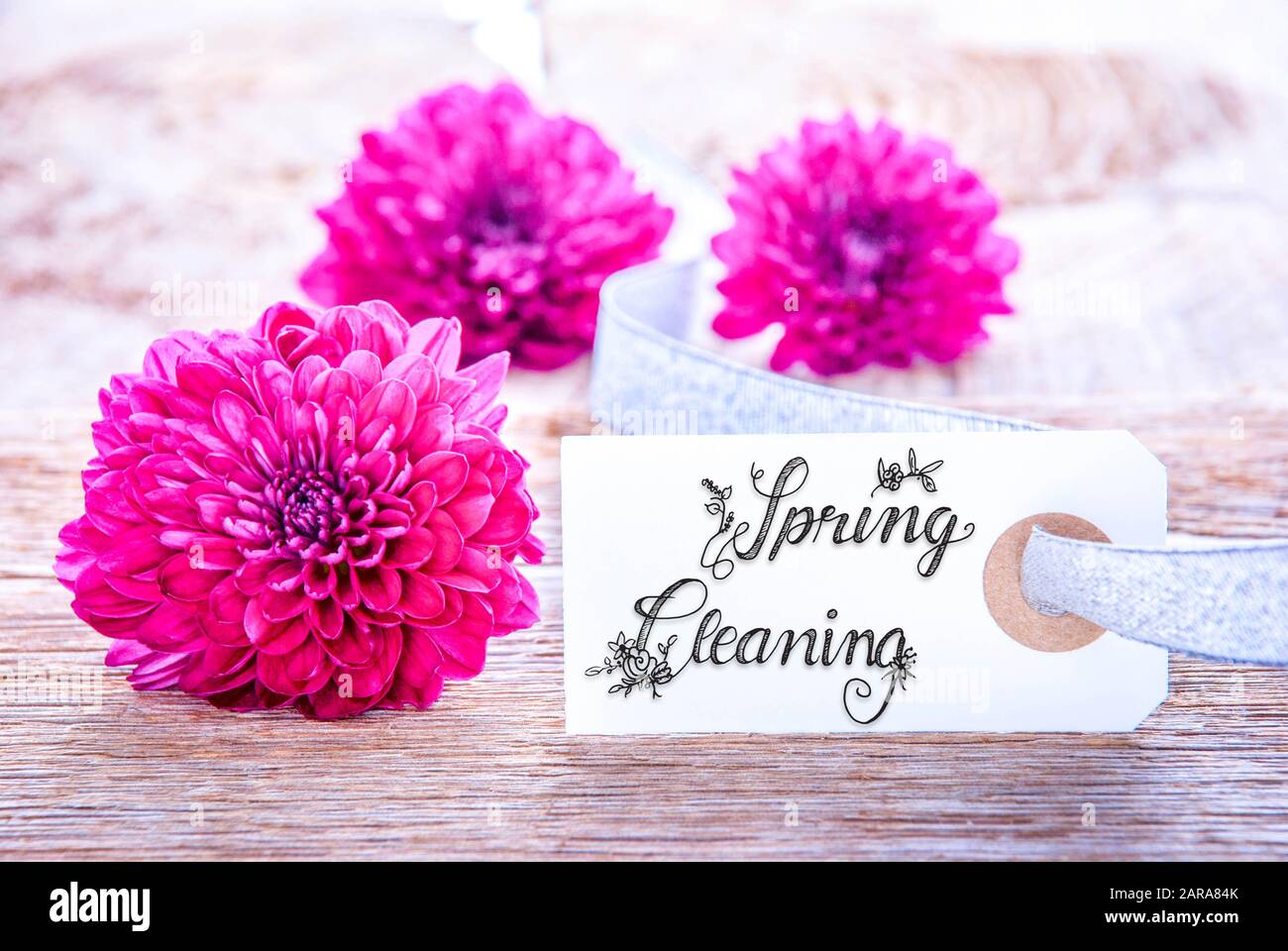 Aufkleber Mit Kalligraphie Spring Cleaning, Drei Puprle Flower Blossom Stockfoto
