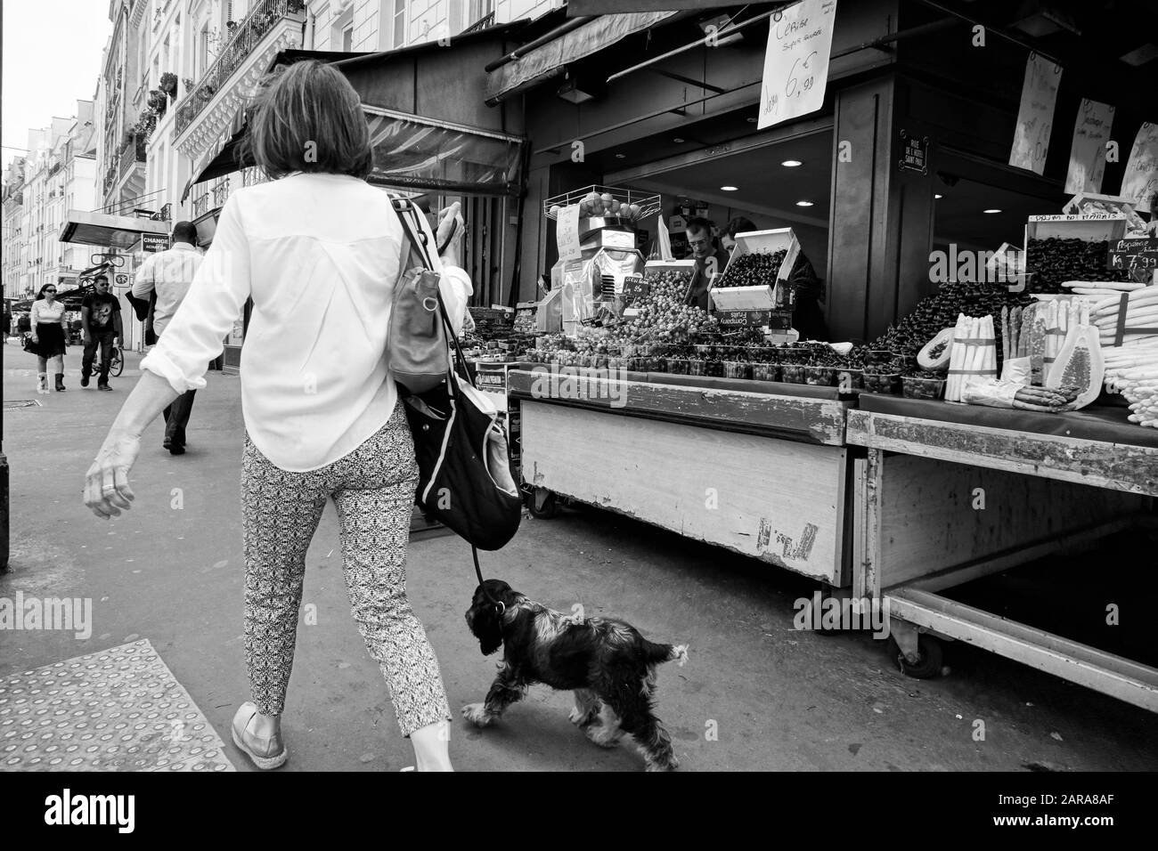 Frau, die Hund auf dem Straßenbelag, Obstladen, Rue Saint Antoine, Paris, Frankreich, Europa spazieren geht Stockfoto